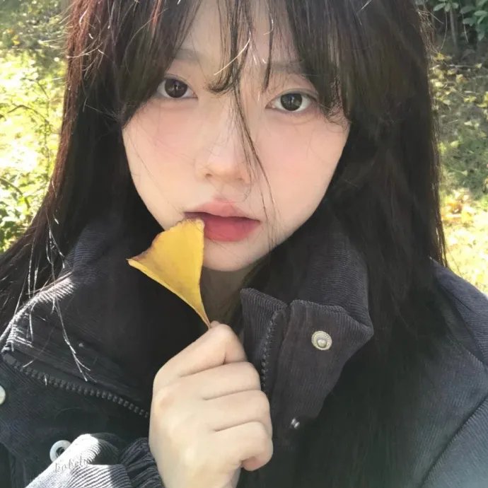 雾柳镇